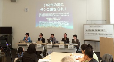 「いのちの海とサンゴ礁を守れ」複数のNGOと緊急共同声明を発表しました