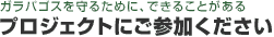 �v���W�F�N�g�ɂ��Q����������