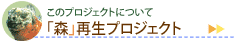 �u�X�v�Đ��v���W�F�N�g