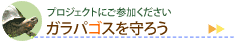 �K���p�S�X����낤