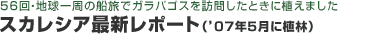 �X�J���V�A�ŐV���|�[�g('07�N5���ɐA��)