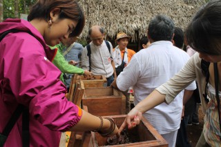 守り継がれるマヤ文化　養蜂を活かした自然保護　―コスメル