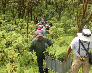 ガラパゴスの森をまもるための植林にご協力ください