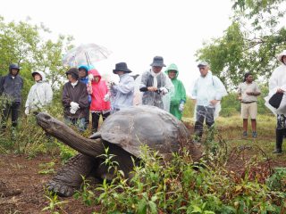 第91回ピースボートで「ガラパゴスの森再生プロジェクト」植林ツアーを実施しました