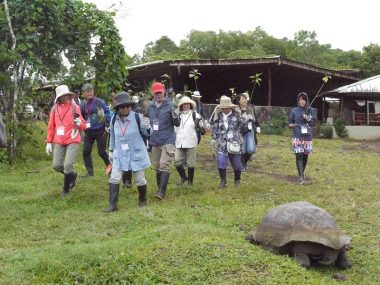 第98回ピースボートで「ガラパゴスの森再生プロジェクト」植林ツアーを実施しました