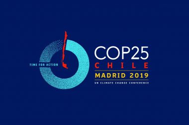 マドリッドで開催されたCOP25に参加しました