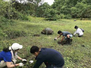 第101回ピースボートで「ガラパゴスの森再生プロジェクト」植林ツアーを実施しました