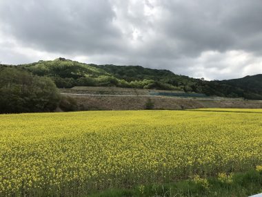 原発事故から10年【上】――「フクシマの概観」を世界に発信しています