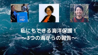 6/16【世界を学ぼう】私にもできる海洋保護!~3つの海からの報告
