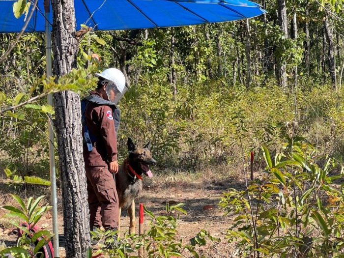 Voyage119でカンボジアの地雷問題を学ぶツアーを開催しました