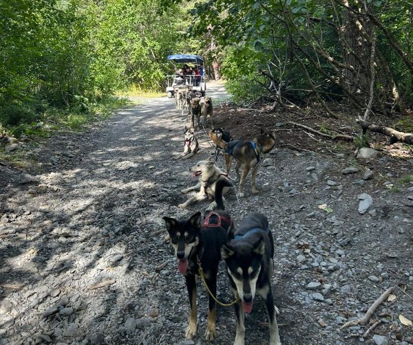 福島子どもプロジェクト2025～海をこえてアラスカへ　多文化に触れ平和を育む船旅