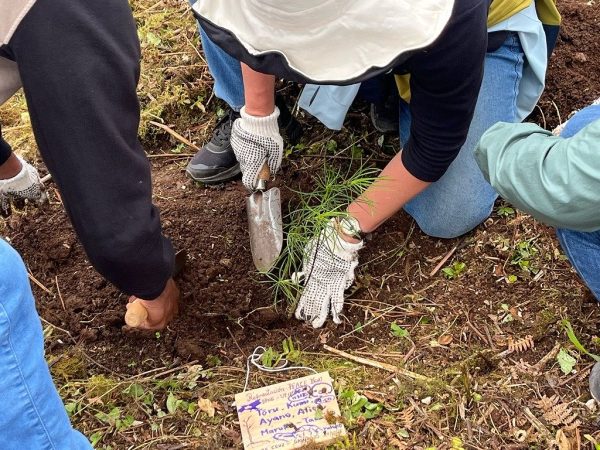 Voyage121で「ガラパゴスの森再生プロジェクト」植林ツアーを実施しました
