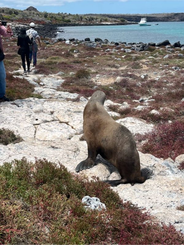 Voyage121で「ガラパゴスの森再生プロジェクト」植林ツアーを実施しました