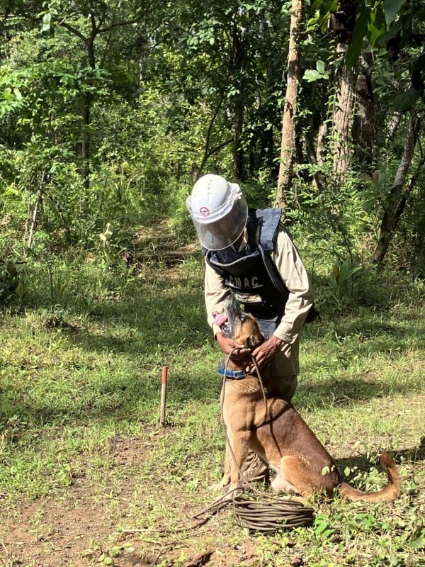 Voyage121でカンボジアの地雷問題を学ぶツアーを開催しました