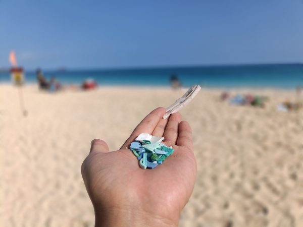 Voyage122 ハワイで海洋ごみ問題を学び、ビーチクリーン活動を実施しました