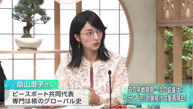 畠山澄子が紛争の助長につながる武器輸出の責任をサンデーモーニングで訴えました