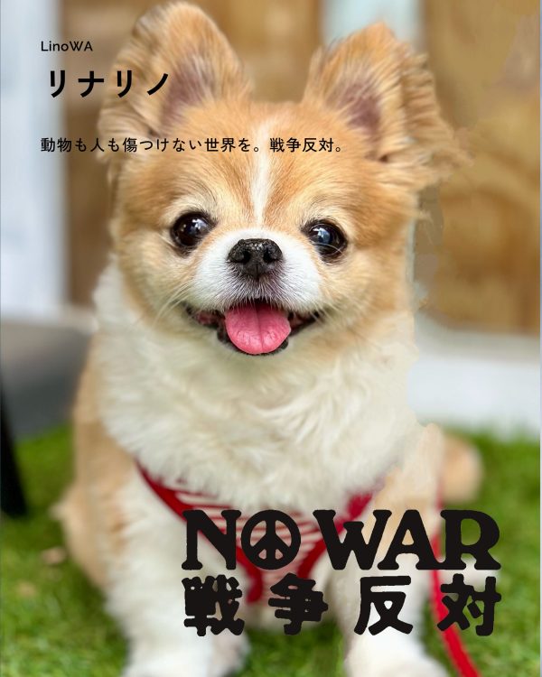 リナリノ