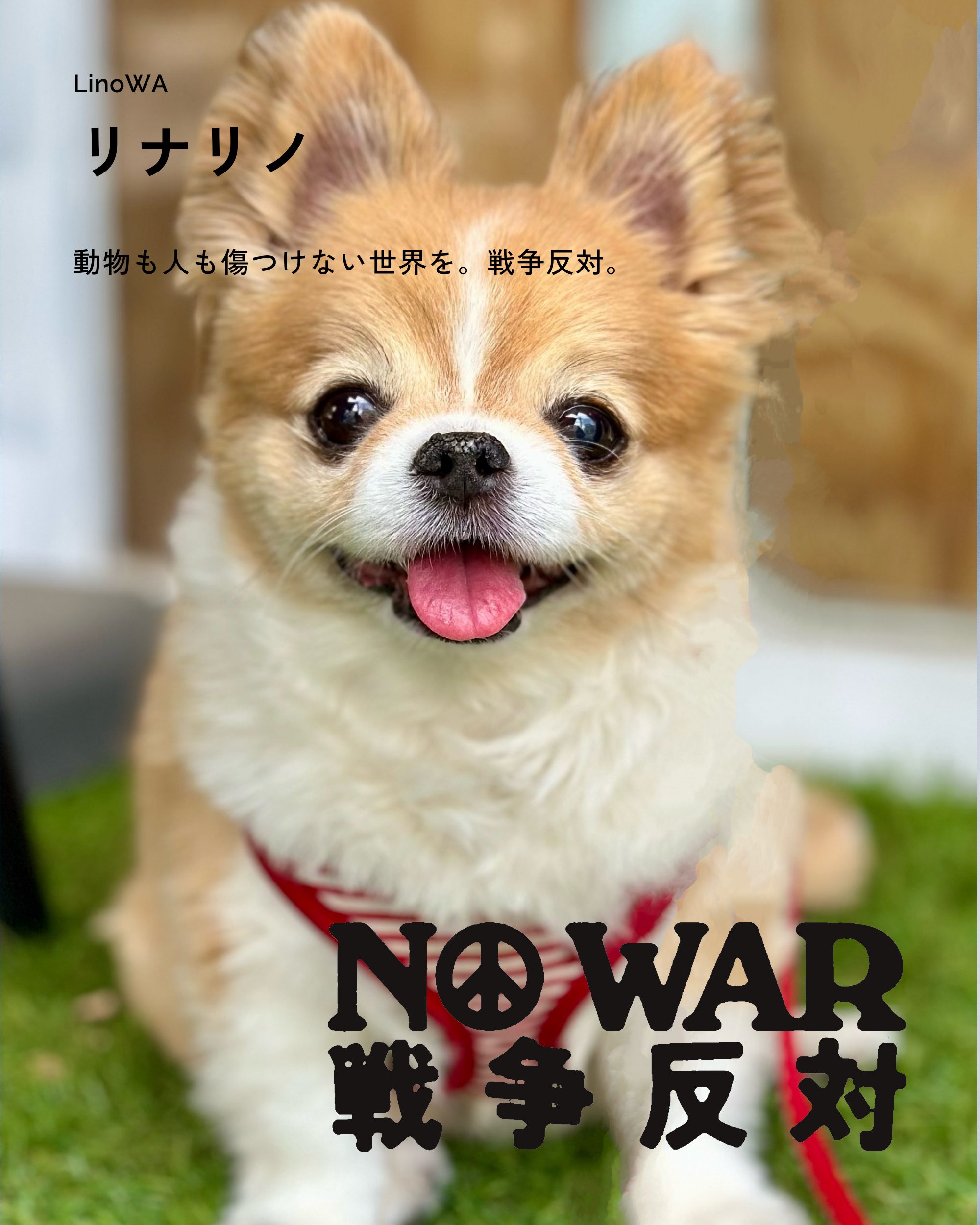 リナリノ