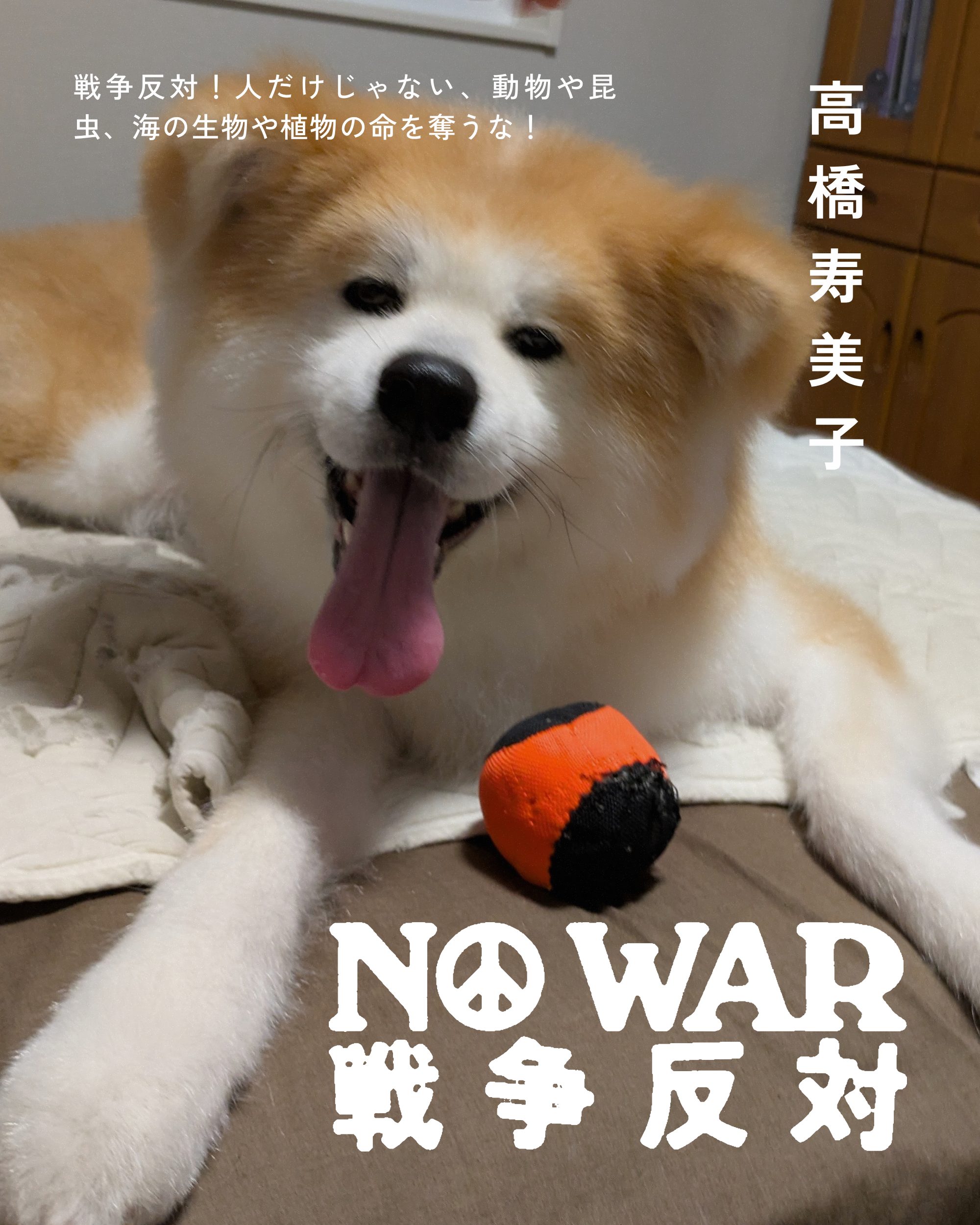 高橋寿美子