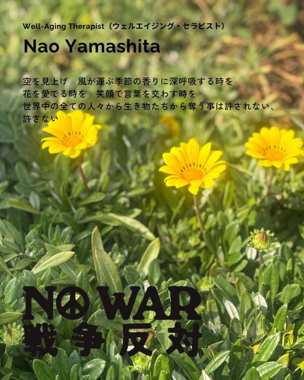 Nao Yamashita