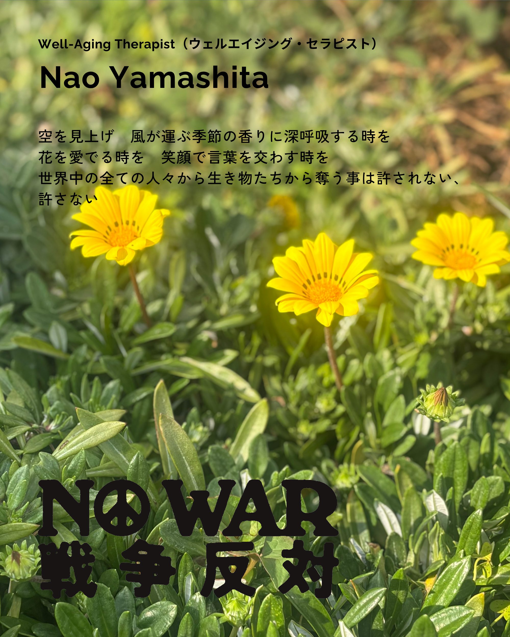 Nao Yamashita