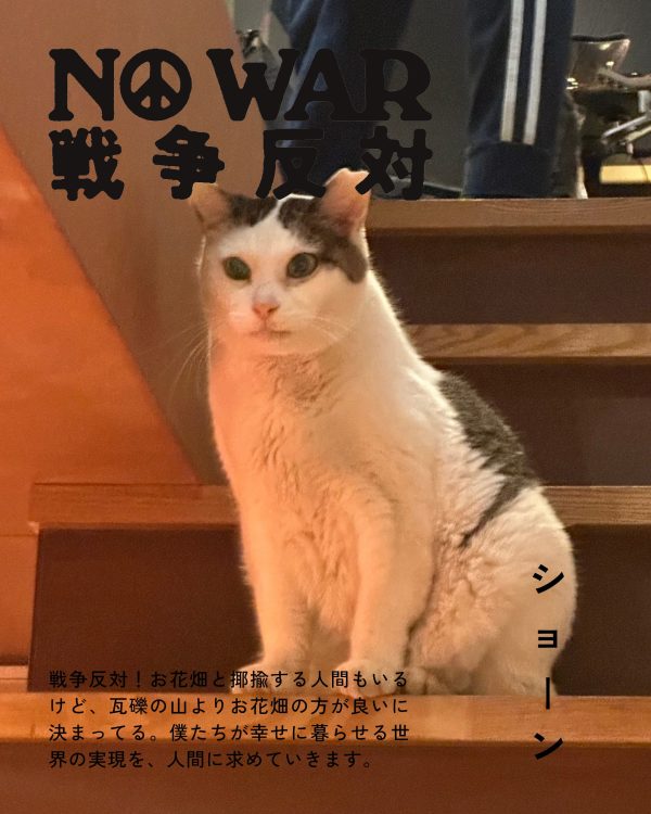 ショーン