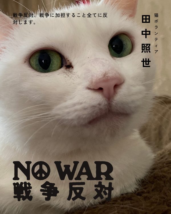 田中照世