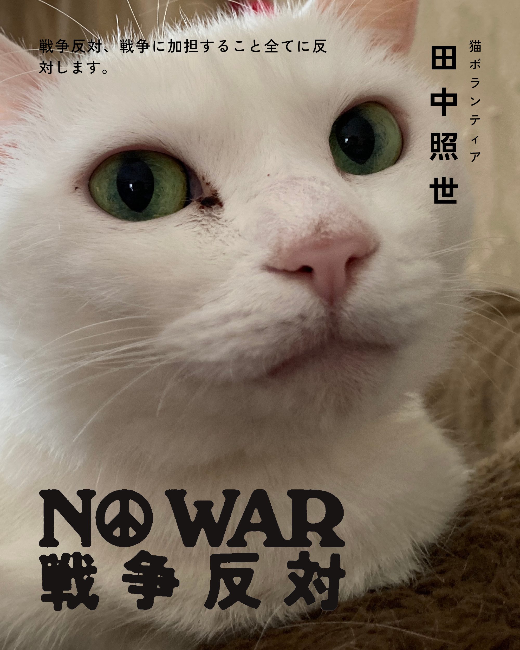 田中照世