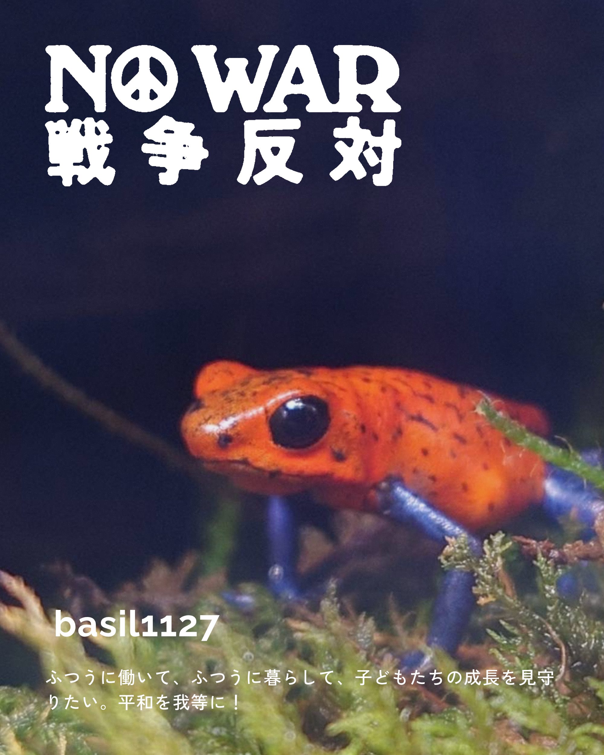 basil1127