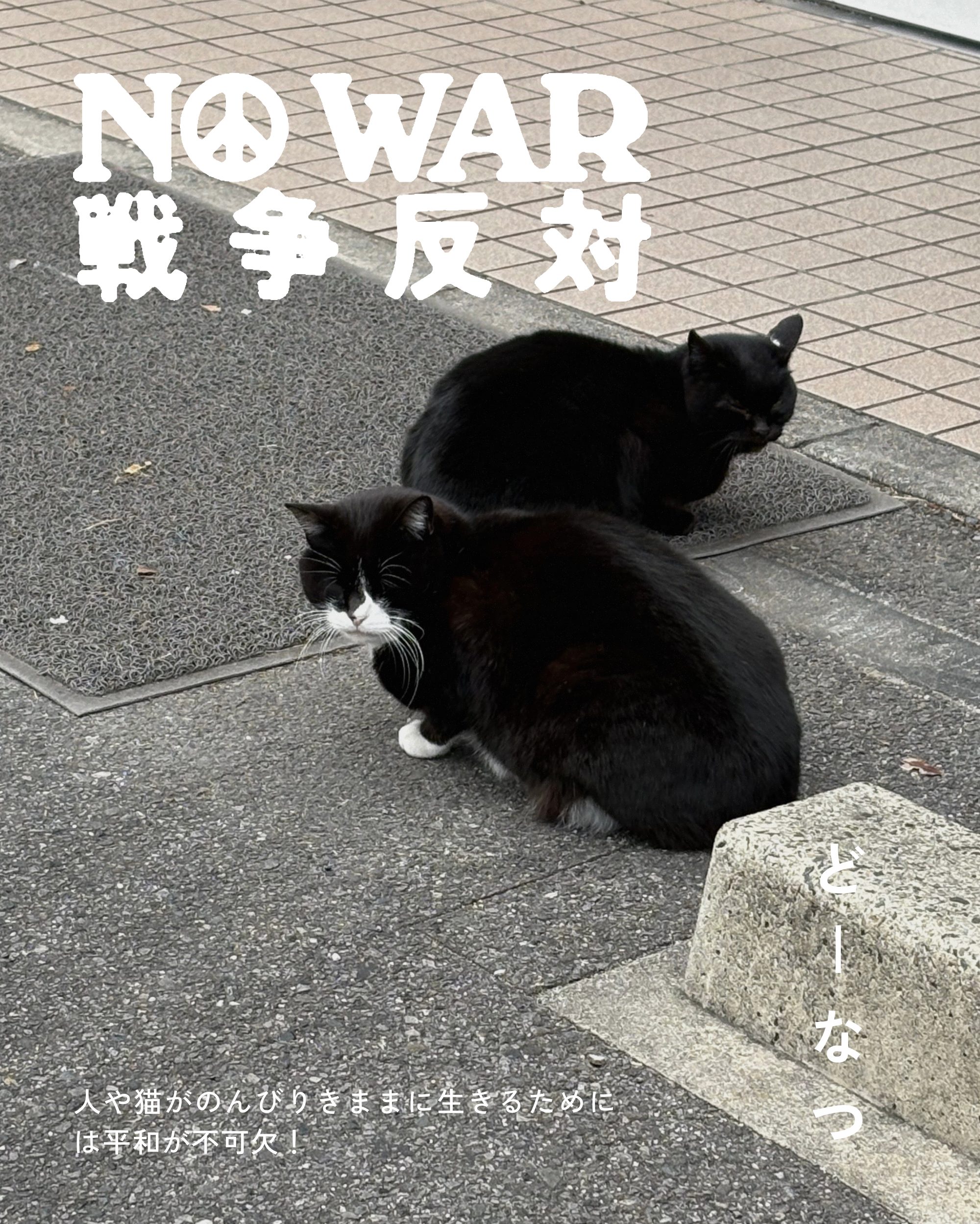 どーなつ