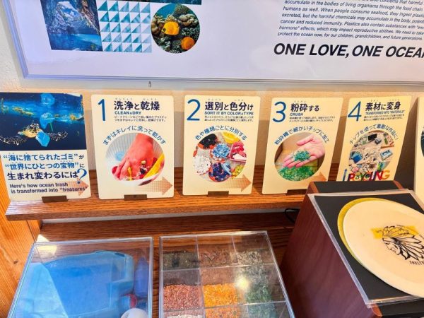 【日本一周クルーズ】沖縄で海洋ごみ問題を学ぶ体験ツアーを開催しました